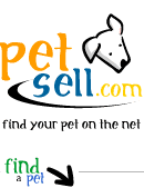 pet names, pet finder, pets for sale